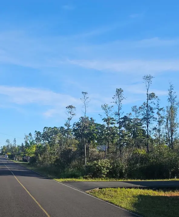 Pahoa, HI 96778,16-2056 RAINBOW DR