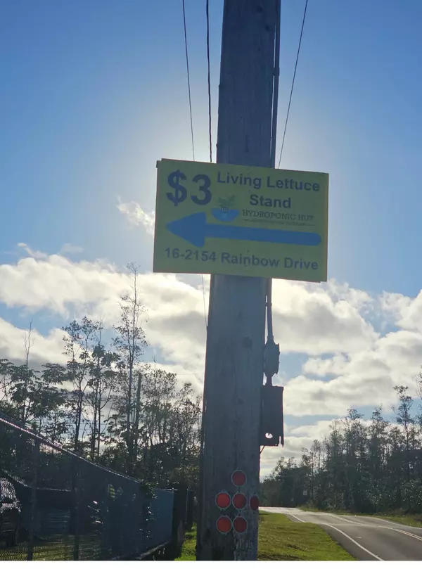 Pahoa, HI 96778,16-2056 RAINBOW DR