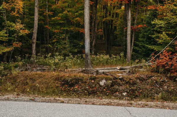 Huntsville, ON P1H 0A8,130 Deerfoot TRL