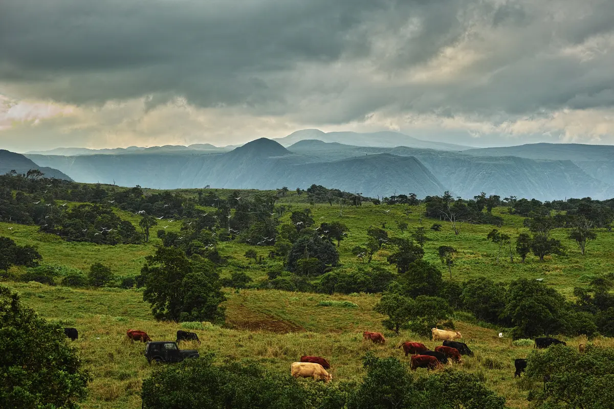 47-5343 WAIKOEKOE LN, Honokaa, HI 96727