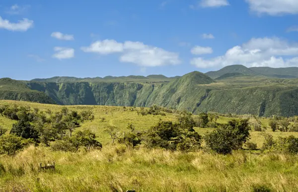 47-5343 WAIKOEKOE LN, Honokaa, HI 96727