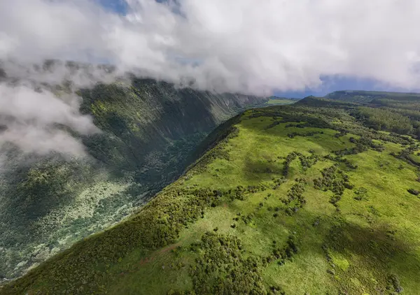 47-5343 WAIKOEKOE LN, Honokaa, HI 96727