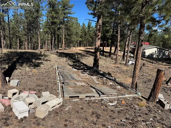 Florissant, CO 80816,382 Blue Mountain DR