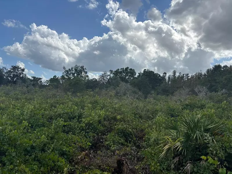 0 County RD 54 E, Kathleen, FL 33849