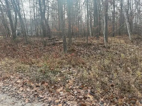 Weidman, MI 48893,TBD West Shore DR