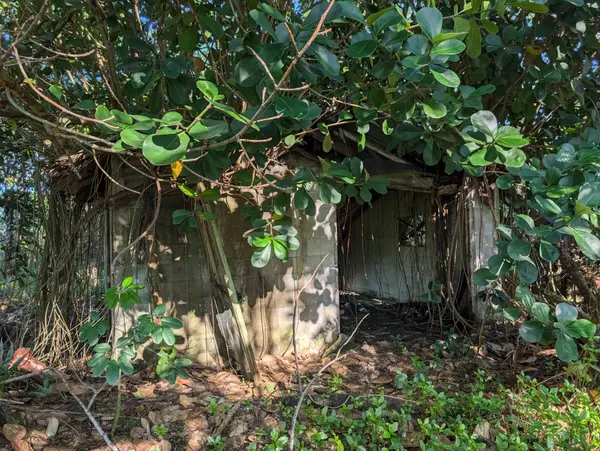 Keaau, HI 96749,8TH AVE