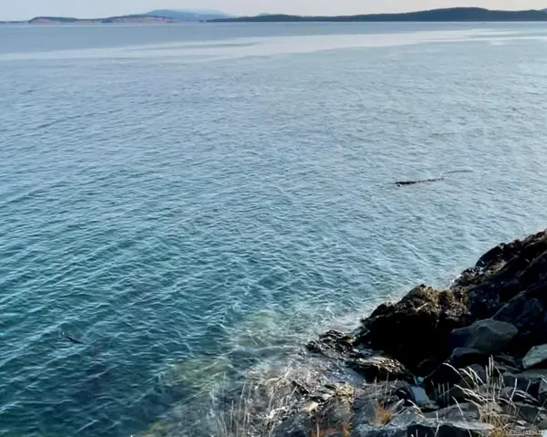 Sidney Island, BC V8L 5Y9,1324 Greenleaf Lane