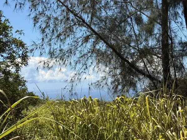 KAI MAKANI PL, Naalehu, HI 96772