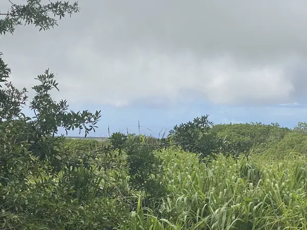 KAI MAKANI PL, Naalehu, HI 96772