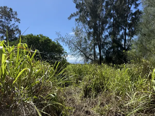 KAI MAKANI PL, Naalehu, HI 96772