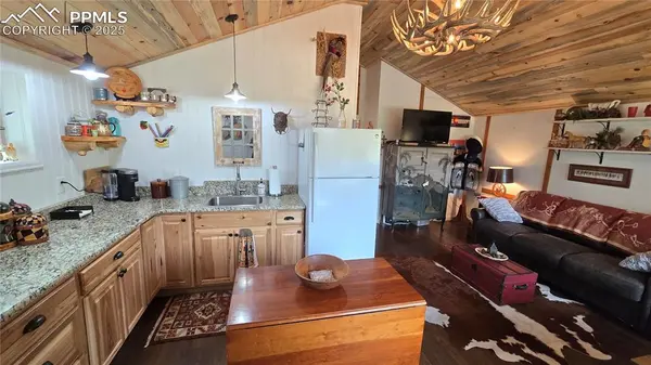 Lake George, CO 80827,259 S Vermillion RD