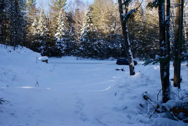 Minden Hills, ON K0M 2K0,TBD Tom Bolton RD