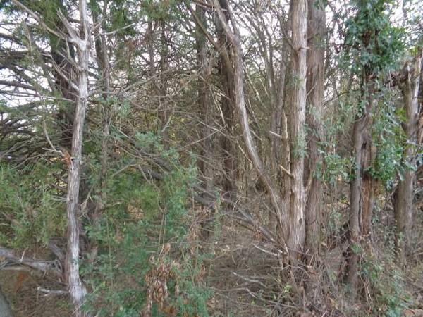 Winnsboro, TX 75494,TBD CR 4870