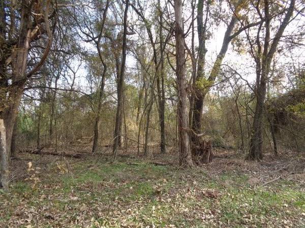 Winnsboro, TX 75494,TBD CR 4870