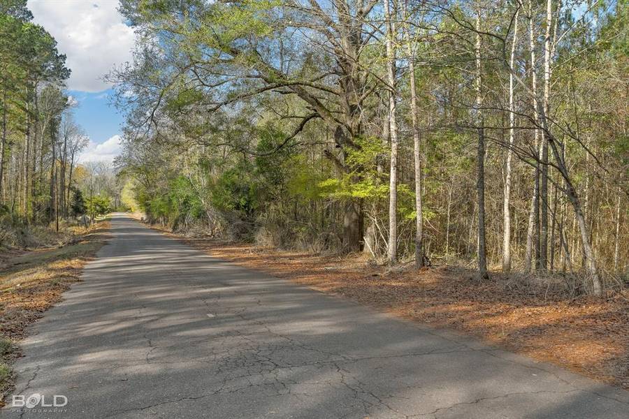 Lot 14 Mockingbird Lane, Plain Dealing, LA 71064