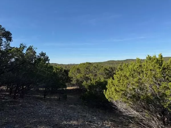 Canyon Lake, TX 78133,1406 Canyon Trace