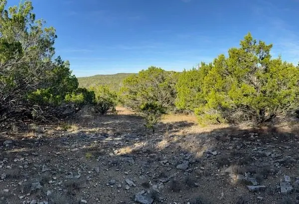 Canyon Lake, TX 78133,1406 Canyon Trace