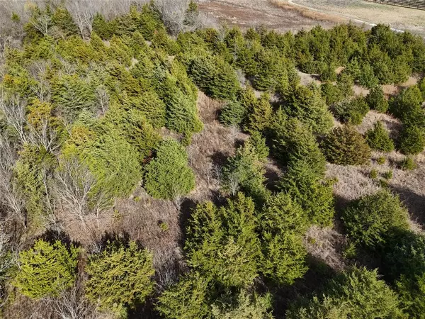 Enloe, TX 75432,1300 FM 2675