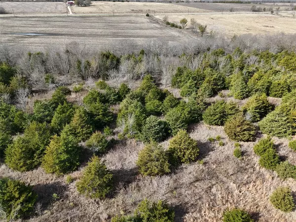 Enloe, TX 75432,1300 FM 2675