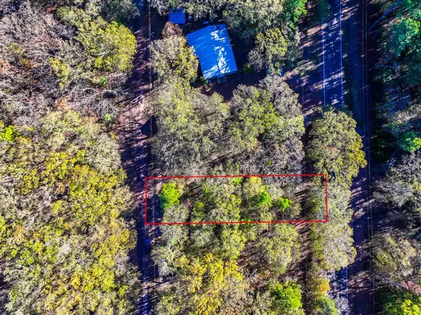 Mount Vernon, TX 75457,Lot 17 Sweet Gum Lane