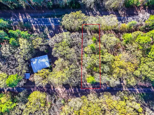 Mount Vernon, TX 75457,Lot 17 Sweet Gum Lane