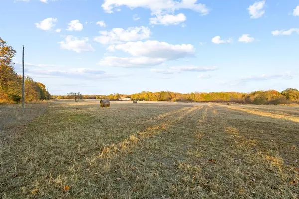 Telephone, TX 75488,000 CR 2645