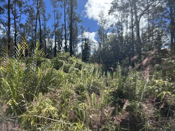 ROAD G (WAO KELE), Mountain View, HI 96760