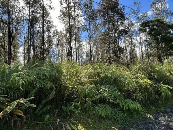 ROAD G (WAO KELE), Mountain View, HI 96760