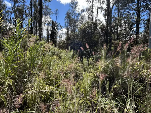 ROAD G (WAO KELE), Mountain View, HI 96760