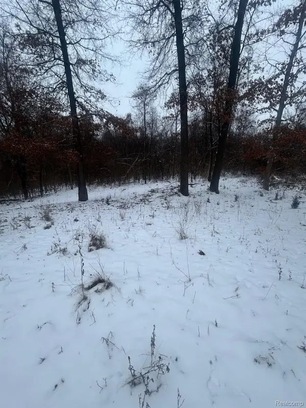 Brighton, MI 48114,12840 LARKINS RD