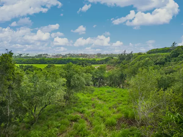 APOPO RD, Kapaa, HI 96746