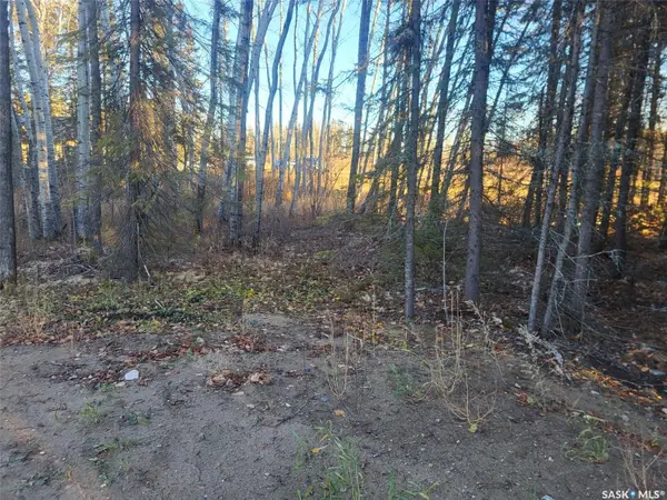 Candle Lake, SK S0J 3E0,4 Billy Joe BAY