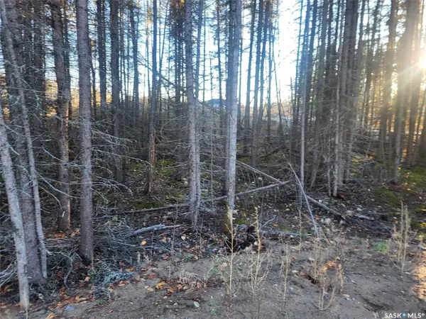Candle Lake, SK S0J 3E0,4 Billy Joe BAY