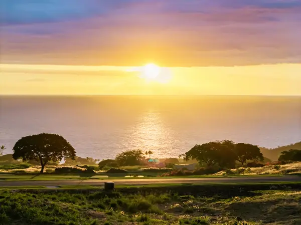 Kealakekua, HI 96750,81-6632 O UALA PL