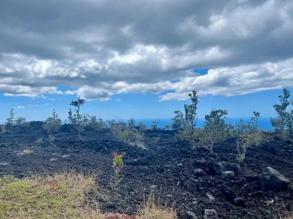 Ocean View, HI 96737,CATAMARAN LN