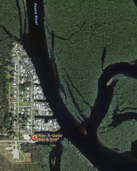 10301 SW riverview circle, Arcadia, FL 34269