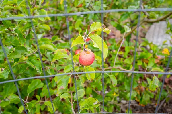 Campbell River, BC V9H 0C7,279 Michigan Dr