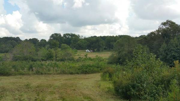 Tyler, TX 75706,TBD County rd 35 Road