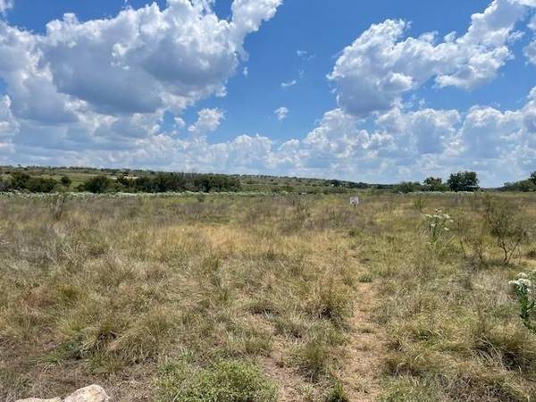 Gustine, TX 76455,217 Park Meadows Drive