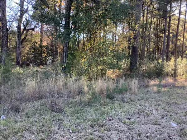 Shreveport, LA 71107,0000 North Market Street