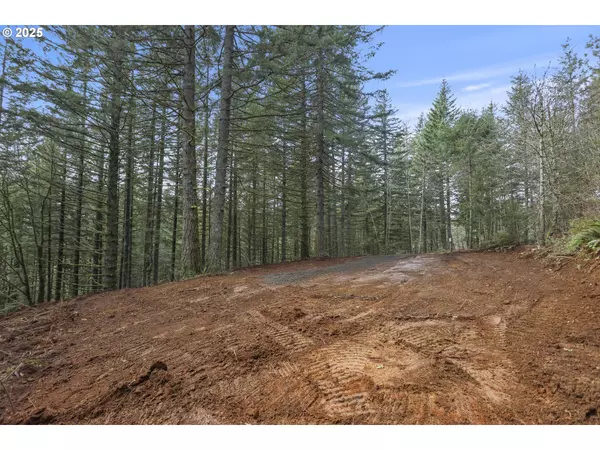 Skamania, WA 98648,KUEFFLER RD