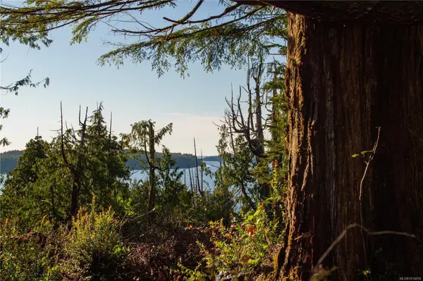 Tofino, BC V0R 2Z0,340 Tonquin Park Rd