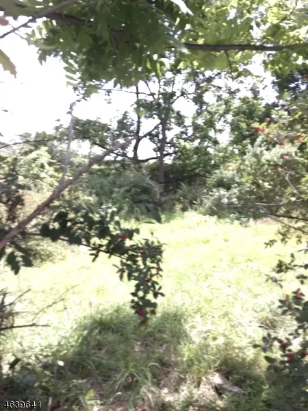 13 Monroe Rd, Lafayette Twp., NJ 07848