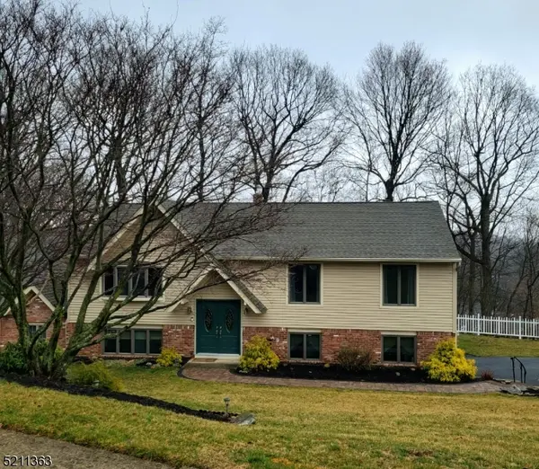 665 Reba Rd, Mount Arlington Boro, NJ 07850