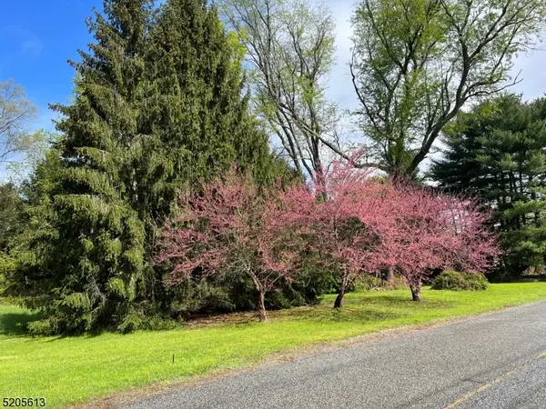 4 Eldan Place, Blairstown Twp., NJ 07825