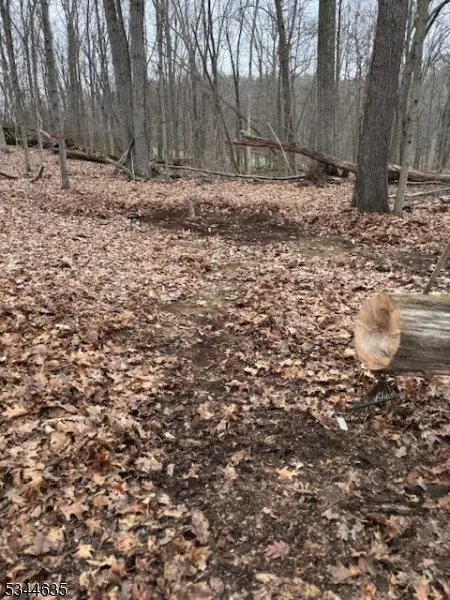 Lafayette Twp., NJ 07848,76 Monroe Rd