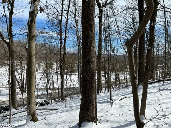 Sparta Twp., NJ 07871,3 Kimble Ln