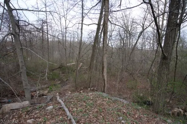 Newton Town, NJ 07860,68 W Shore Dr