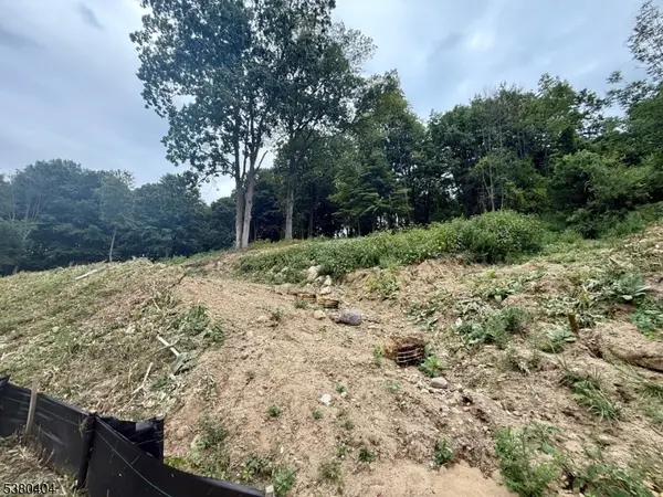 Franklin Boro, NJ 07416,111 Munsonhurst Rd