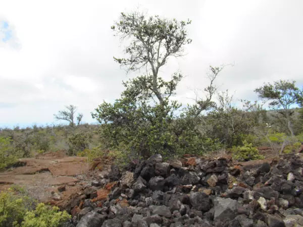 Ocean View, HI 96737,PINEAPPLE PKWY